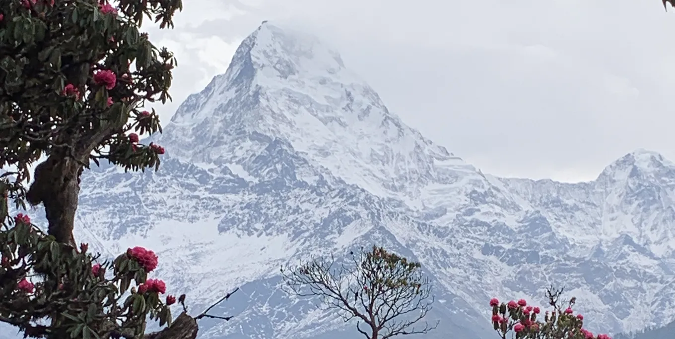 Discover Lower Annapurna (by Ker & Downey)