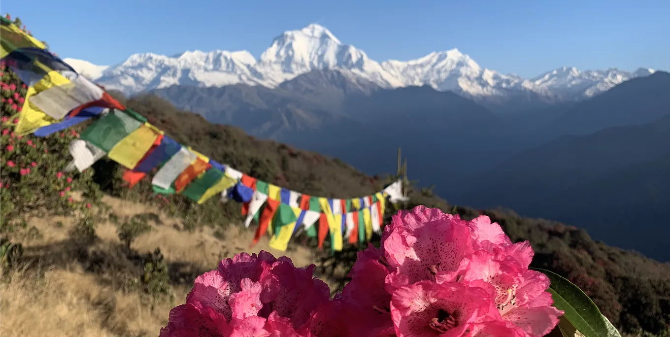 Poon Hill Trek (Annapurna Panorama)